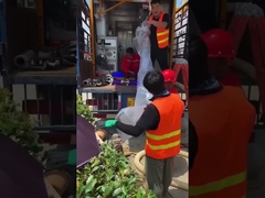 Sửa chữa đường ống ngầm không rãnh Hệ thống thoát nước công cộng Thiết bị xử lý tia cực tím không đào